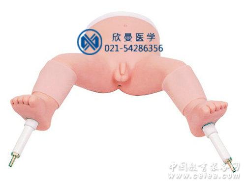 Ӥ贩ѵģ
